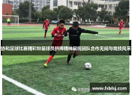 协和足球比赛精彩纷呈球员拼搏精神展现团队合作无间与竞技风采