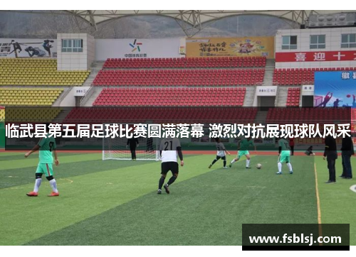 临武县第五届足球比赛圆满落幕 激烈对抗展现球队风采